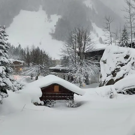 Apartment Haus Aloisia *