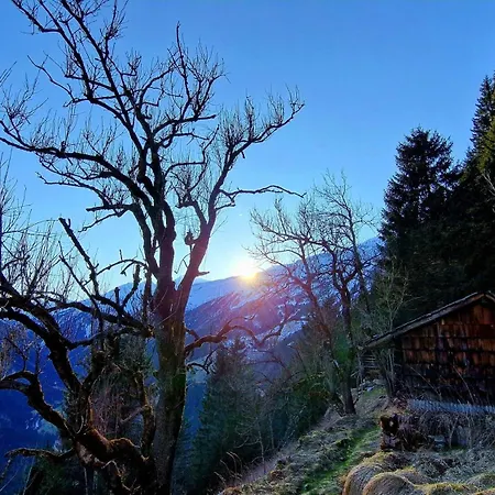 Appartamento Haus Aloisia - Mit Bergblick Im Naturpark Zillertal Ginzling