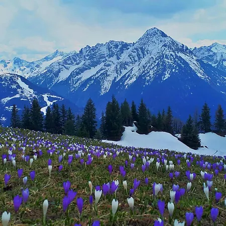 Haus Aloisia Apartment Ginzling