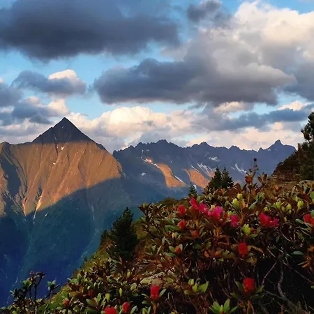 Haus Aloisia - Mit Bergblick Im Naturpark Zillertal Ginzling