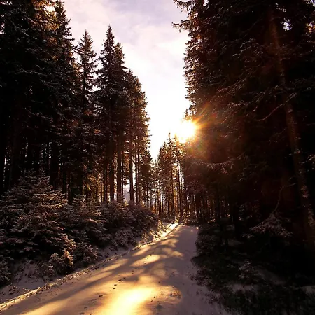 Daire Haus Aloisia *